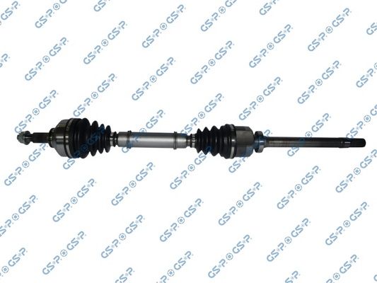 GSP-250454