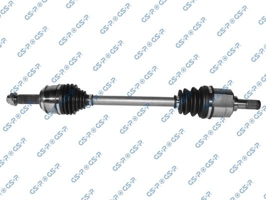 GSP-224260