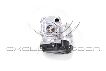 EEG-MB15