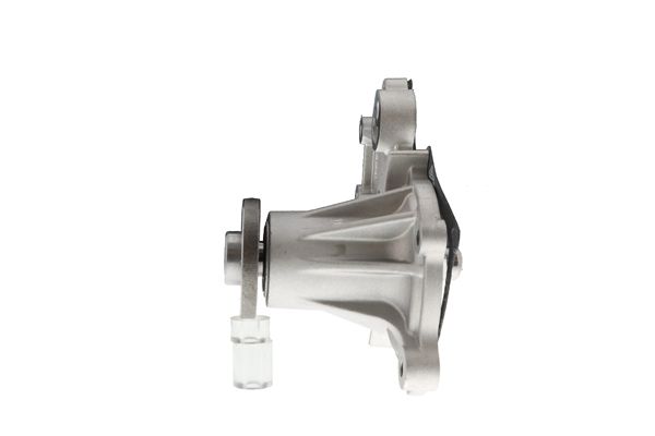AIS-WPS006