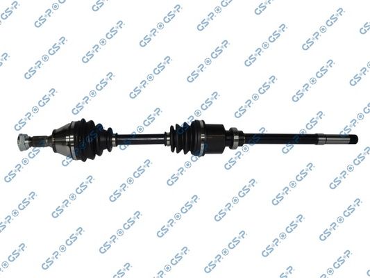 GSP-245029
