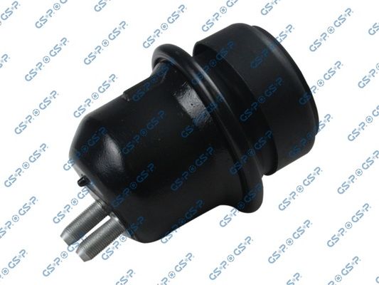 GSP-513173