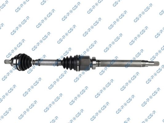 GSP-218280