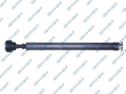 GSP-PS900589