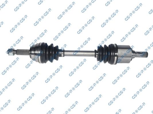 GSP-299204