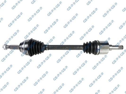 GSP-218455