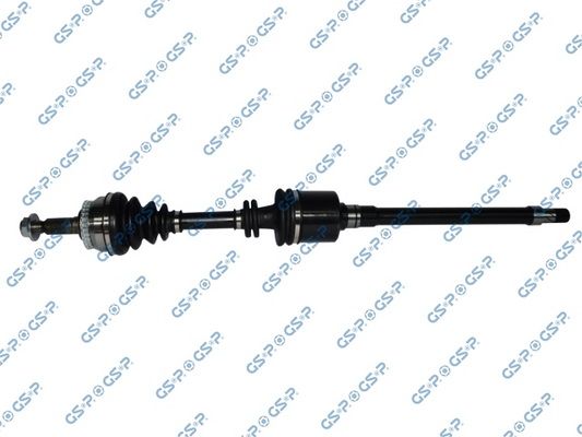 GSP-218199