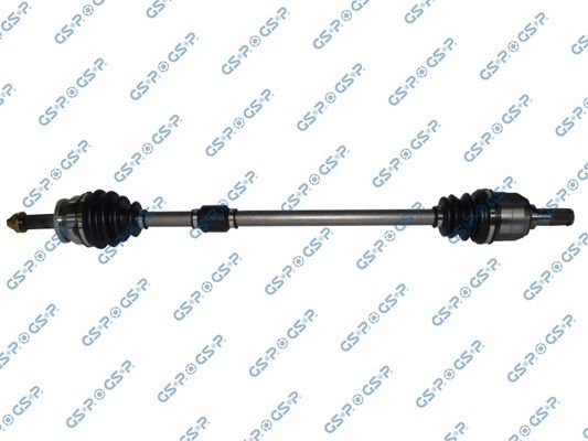 GSP-224293