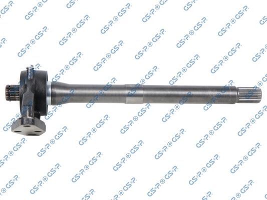 GSP-202876