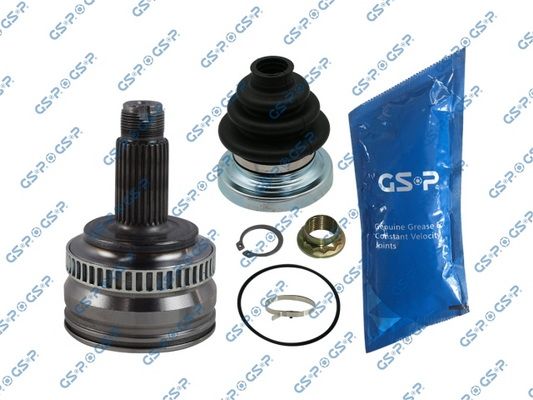 GSP-605009