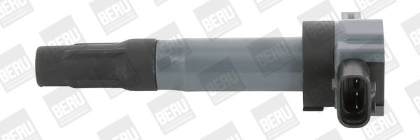 BER-ZSE189