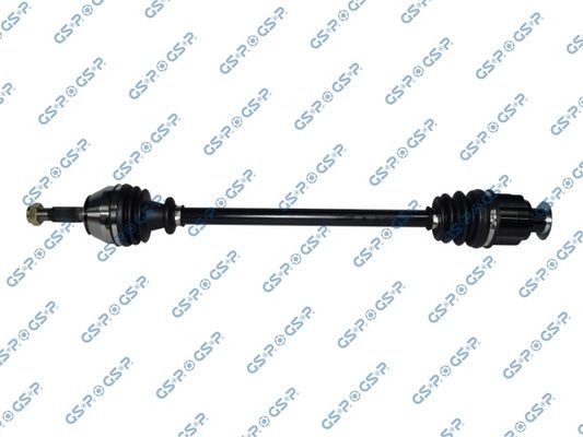 GSP-250138