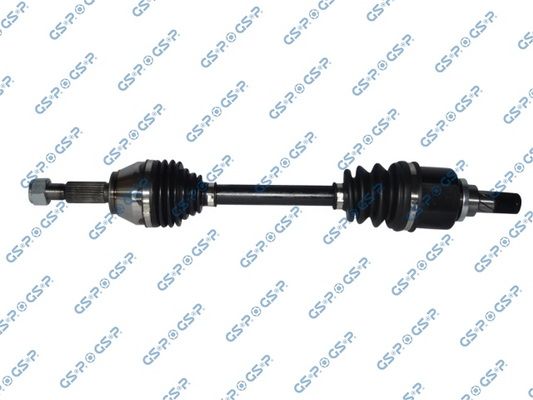 GSP-218389