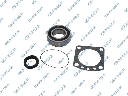 GSP-GKX0080
