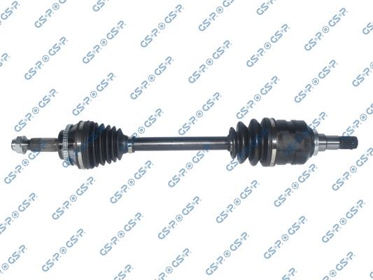 GSP-259561