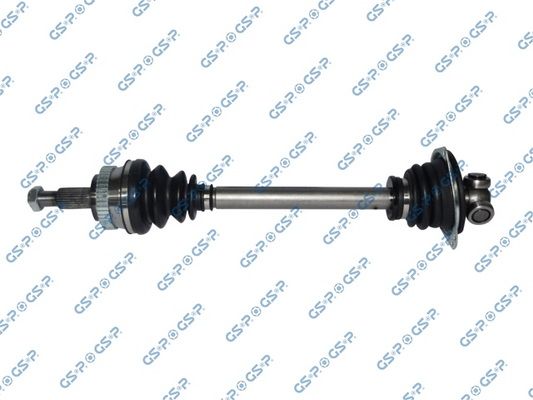 GSP-250200