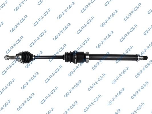 GSP-218406