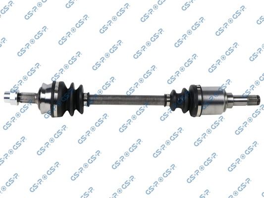 GSP-217188