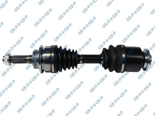 GSP-218210