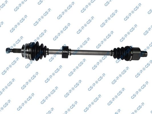 GSP-250254