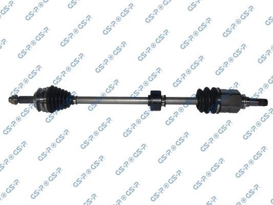GSP-259636