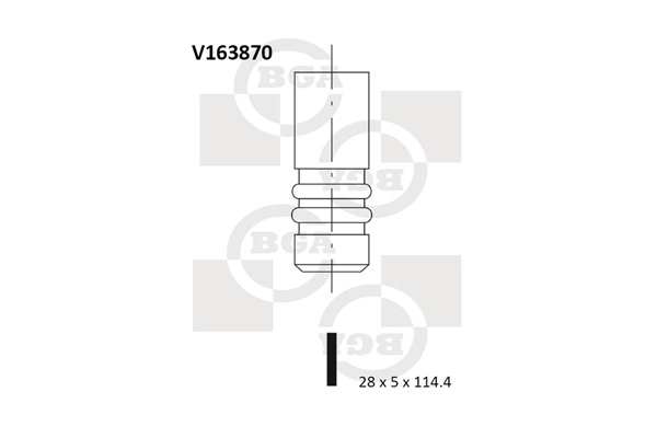 V163870