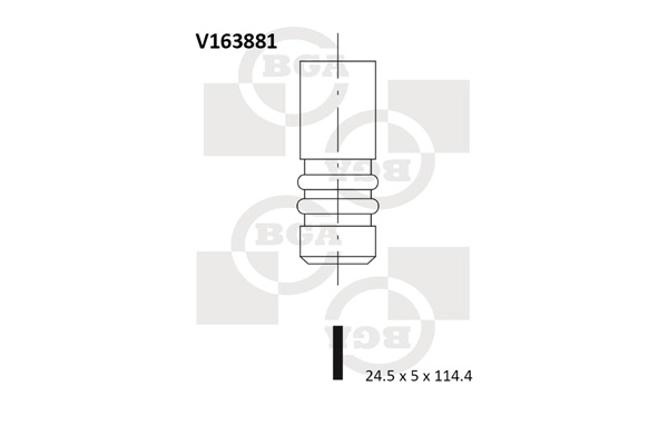 V163881