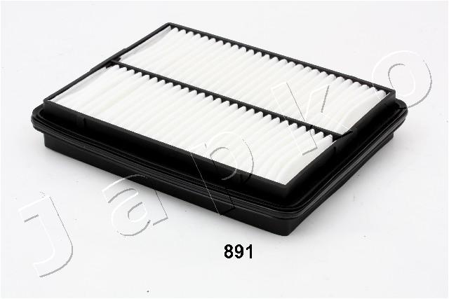 20891