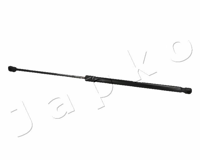 ZSJ06061