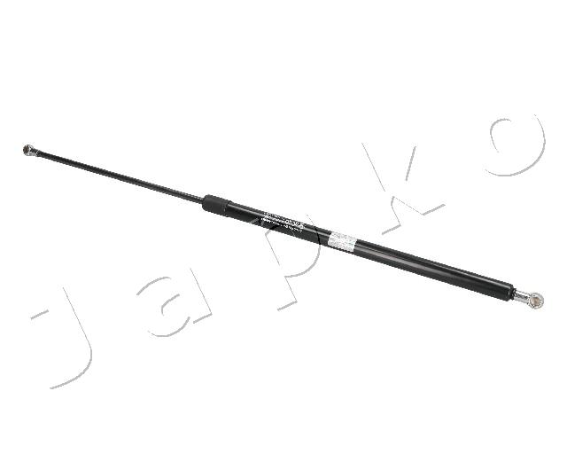 ZSJ07071
