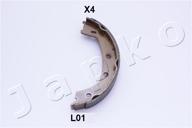 55L01