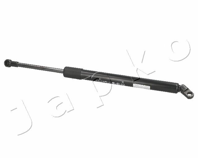 ZSJ01007