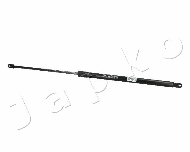 ZSJ06046