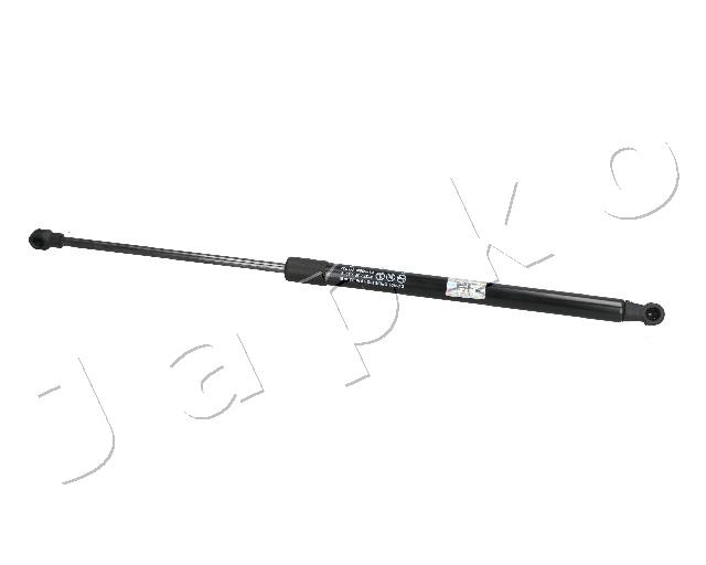 ZSJ09089