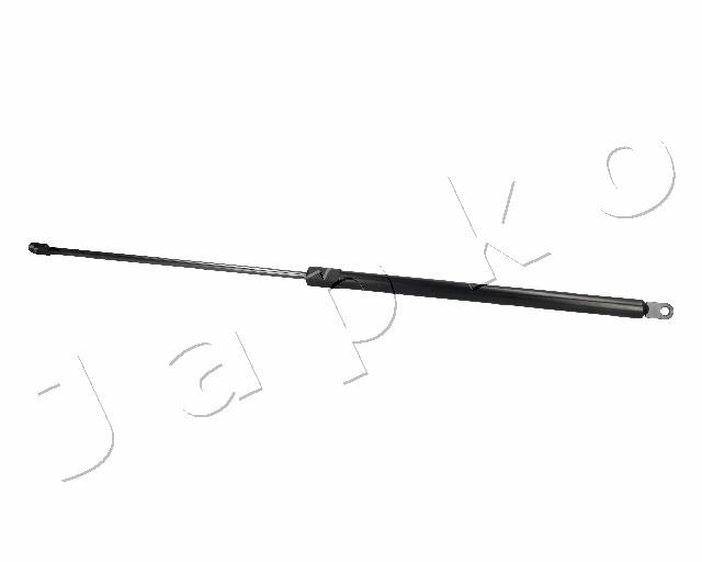 ZSJ06025