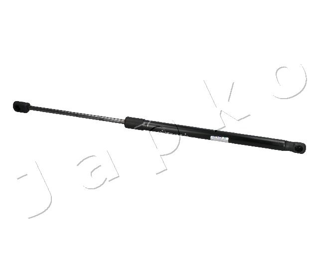 ZSJ10012