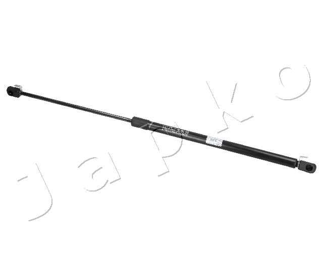 ZSJ07076