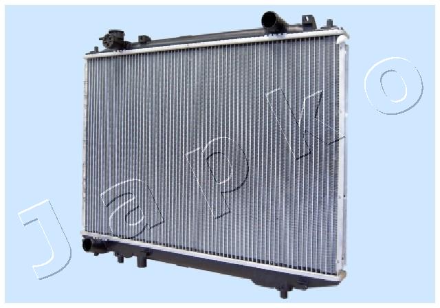 RDA273055