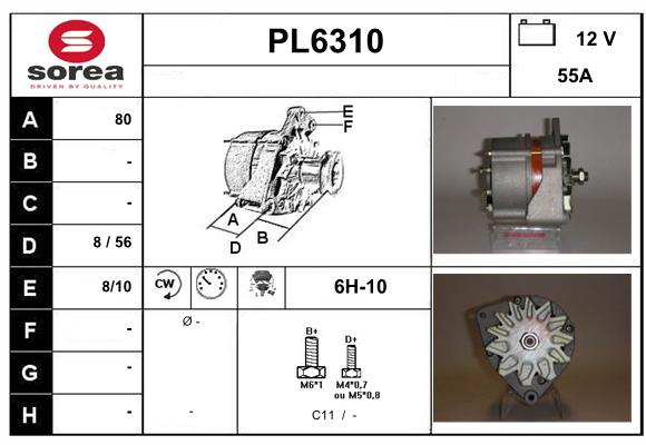 PL6310