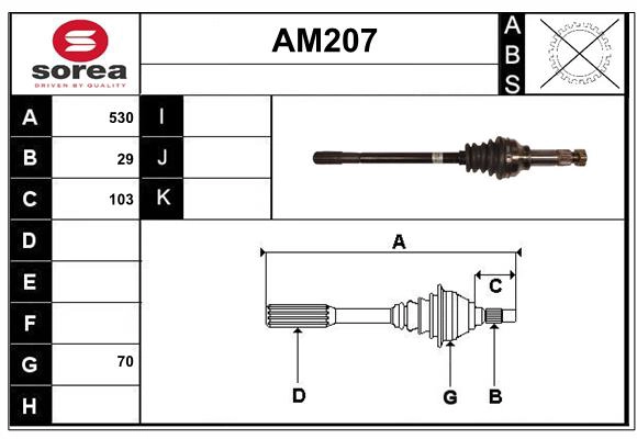 AM207