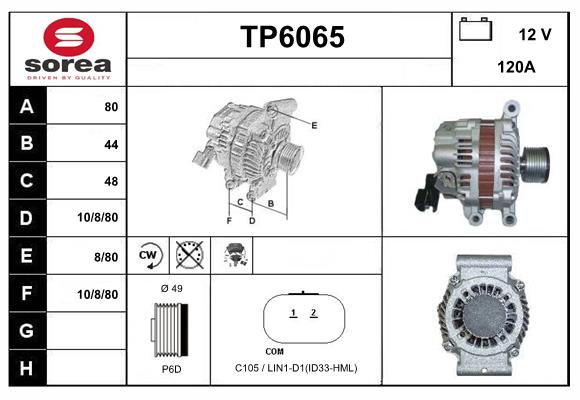 TP6065