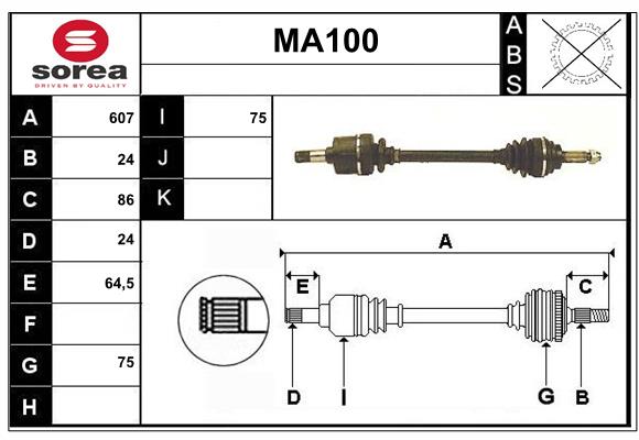 MA100