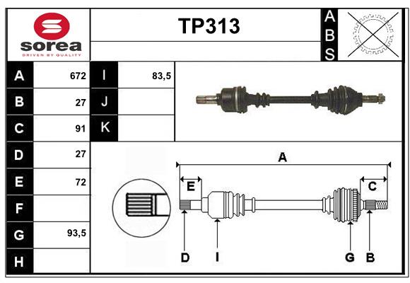 TP313