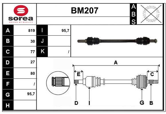 BM207