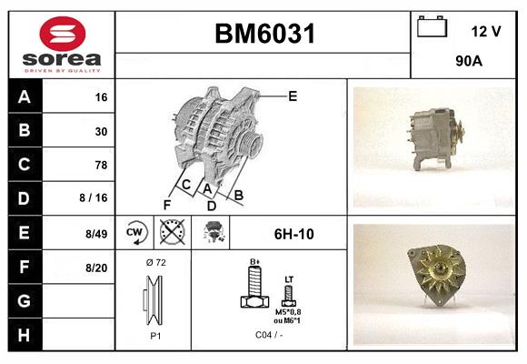 BM6031