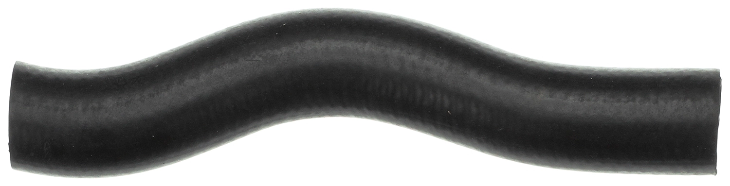 19501-RNA-A01