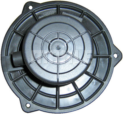 WG2179764