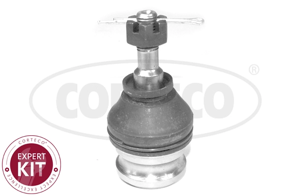WG2288390