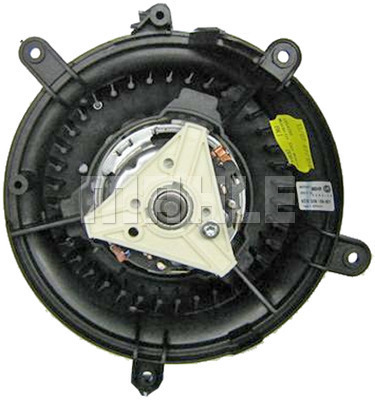 WG2179943