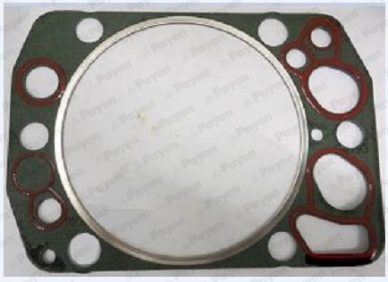 WG2202322